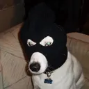 brayy2674