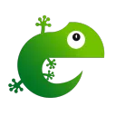 datagecko