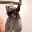 avatar Hurley Cash >w<