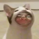 kotikwhr