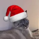 matttanta