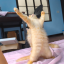 avatar MY LIFE IS YOURS