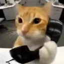 shilow6154