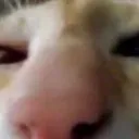 wooooooooooooooo
