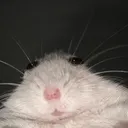 mariofdm