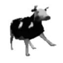 seperd