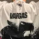 rcvargas avatar