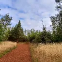 habsti