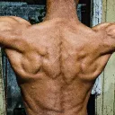 nvmrocky
