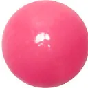 gotama5377