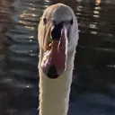 estefaniaq