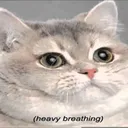 imthemawth