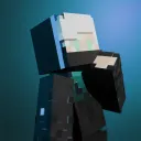 dsng_