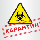 avatar Я AZER У МЕНЯ TASER