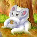 cheerycinccino