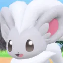 cheerycinccino