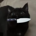 noisyblu