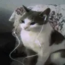frragzz