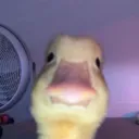 spawnerplayer7