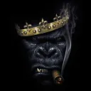 kingrobintm