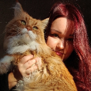 avatar 🎀Schneexoxo♡