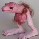 gonzo4143
