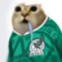 cevinverified