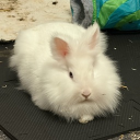 avatar KauflandEistee