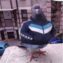 _kaiser00