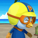 cubeusuga