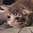 avatar Visible Confusion