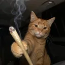 mxtheww