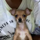 cjddiaz