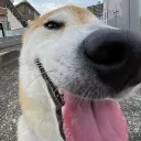 Аватар iflameeeeee