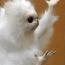 saunajesus