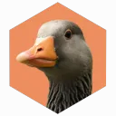 sararibble