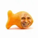 brugbrog