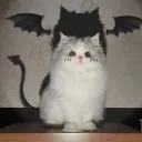 draculaaura