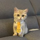 evil0ctal