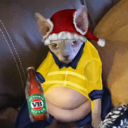 avatar Christmas Shazza