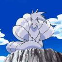 avatar 𝔂𝓼𝓾𝓻𝓲