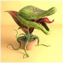 piranhamama