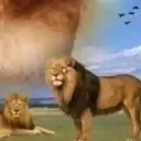 lpsgiggle