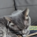 avatar -卄卂ㄚᗪ乇几 匚卂几卂ᗪ丨卂几𓃠