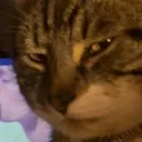 heyeyshjey