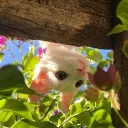 bebe_0926