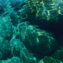 avatar 💙AfD27% ihab immer RECHT: