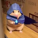 jorgebns