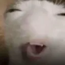 kordannaa