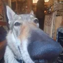 mooooooooovedaccount